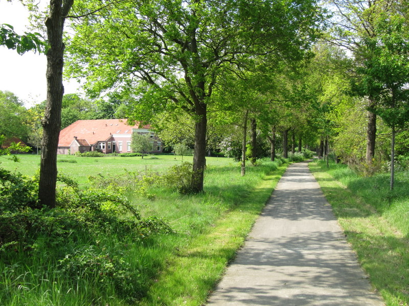 n-van-de-vele-fietspaden-in-westerwolde-2-500-m