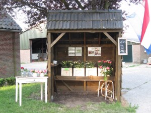 verkoopkraam van de pioenrozen bij de boerderij